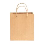 230 x 180 x 150 Kraft Paper Bag with Handle (MF Paper)