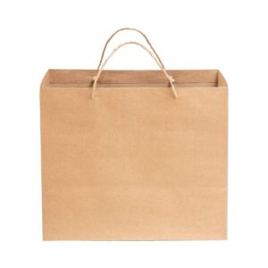 420 x 320 x 110 Kraft Paper Bag with Handle (MF Paper)