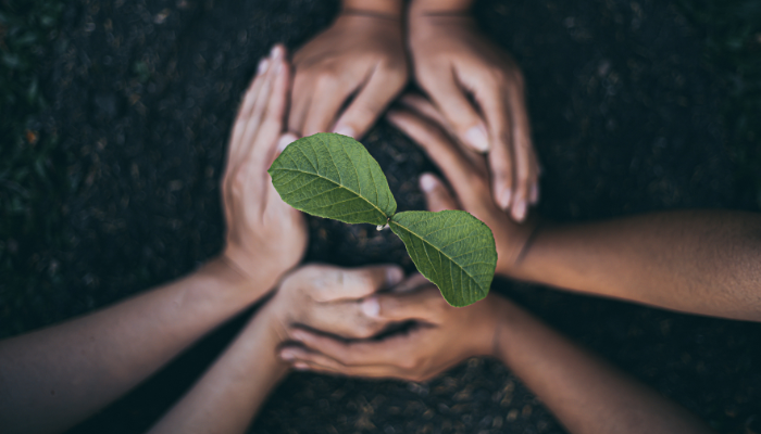 sustainability